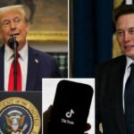 Trump responds: Will Elon Musk or Larry Ellison buy TikTok?